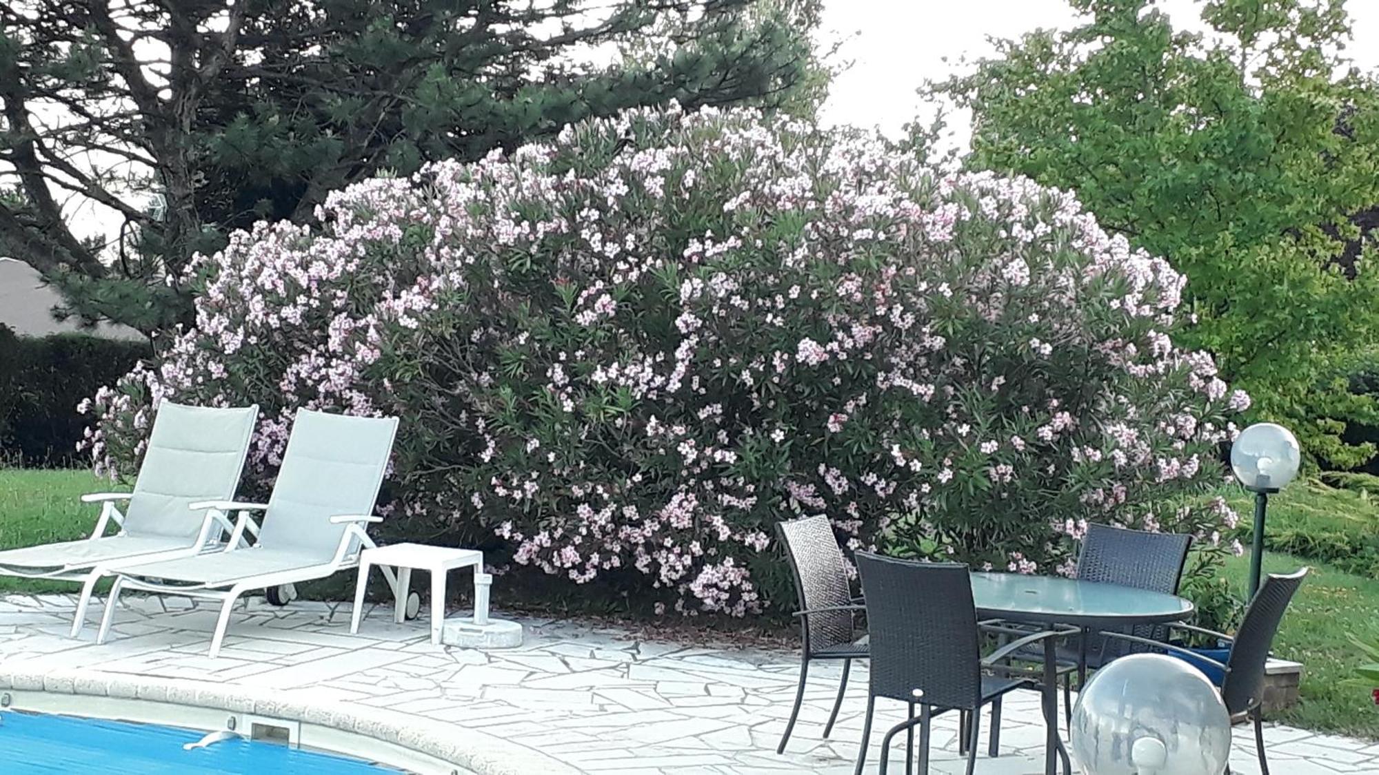 Villa Avec Vue Biviers Екстер'єр фото
